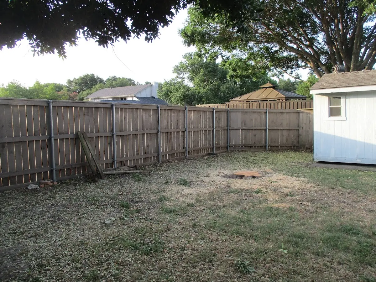 Cleared yard after professional tree removal in Sylvester